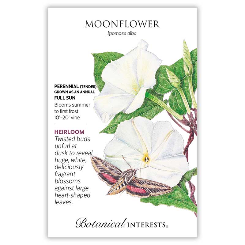 The Moon Garden Seed Bundle - Image 6