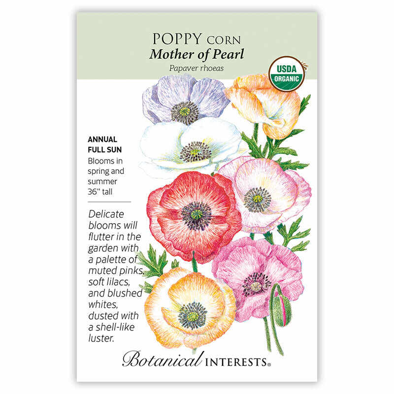 Mother of Pearl Poppy Seeds - Image 3