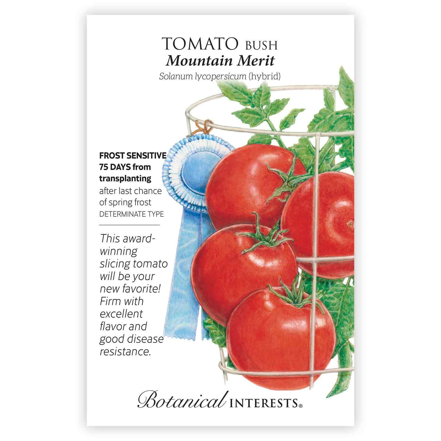 Mountain Merit Bush Tomato Seeds - Image 3