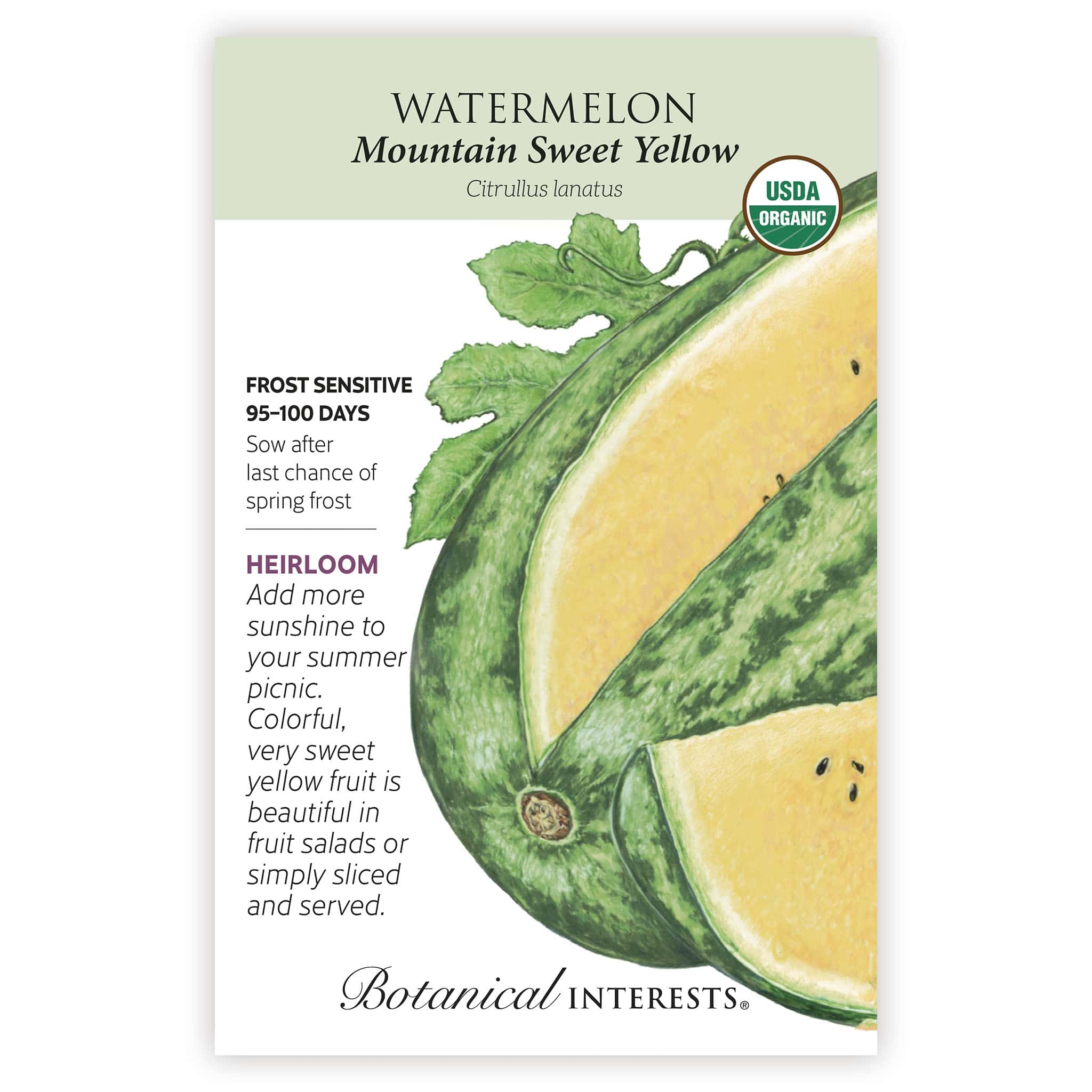Mountain Sweet Yellow Watermelon Seeds - Image 3