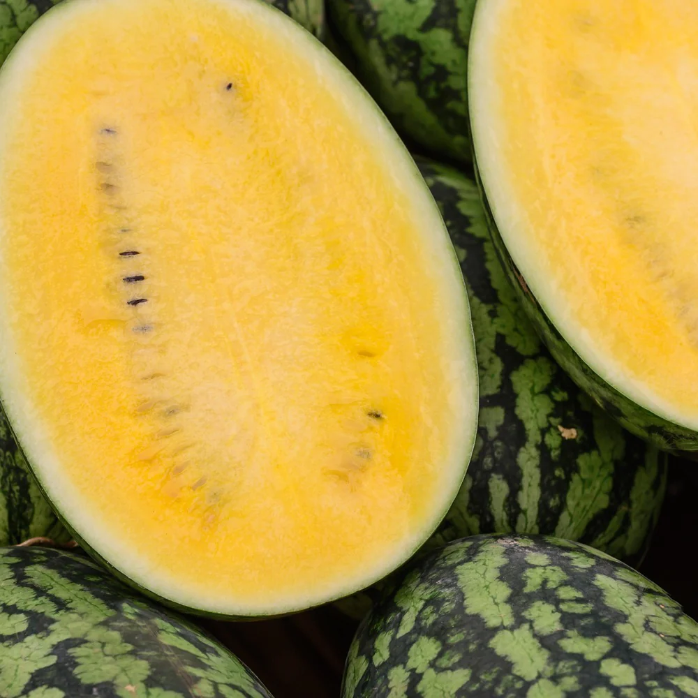 Mountain Sweet Yellow Watermelon Seeds - Image 4
