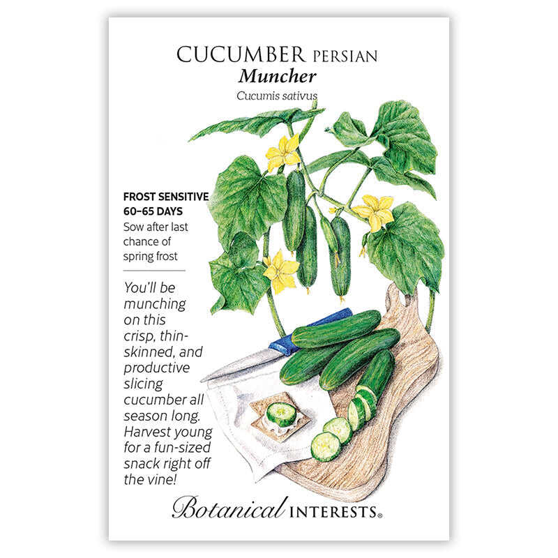 Muncher Persian Cucumber Seeds - Image 3