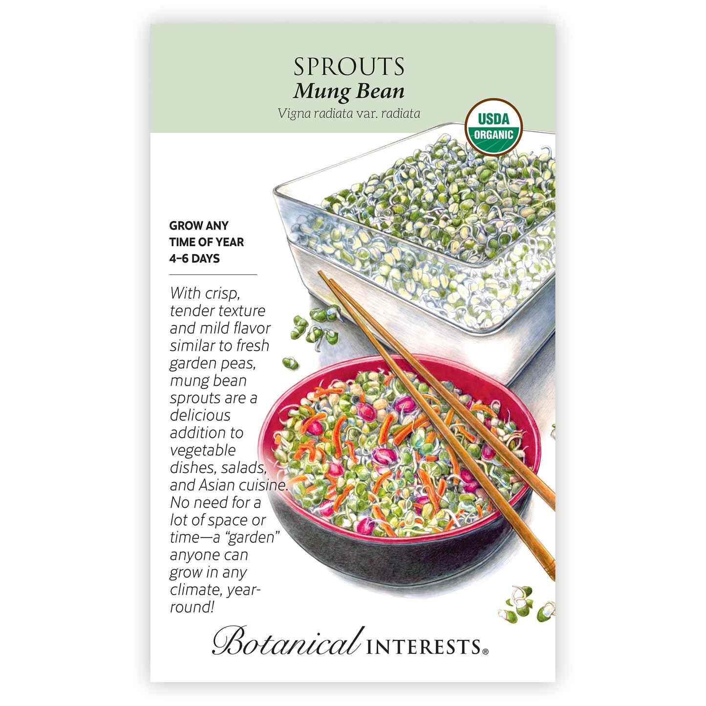 Mung Bean Sprouts Seeds - Image 2