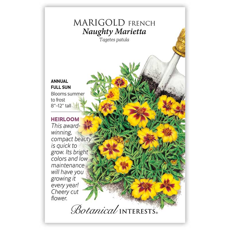 Naughty Marietta French Marigold Seeds - Image 3