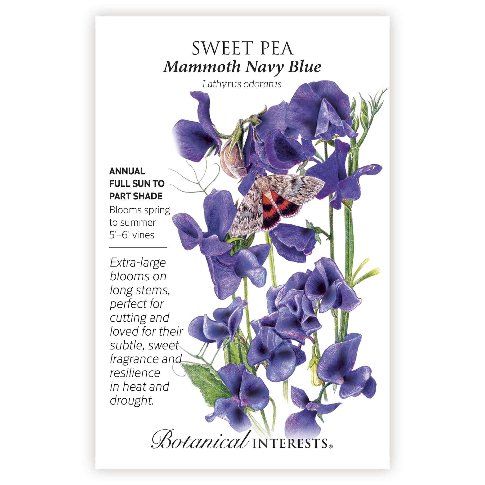 2026 New Varieties Seed Bundle - Image 10