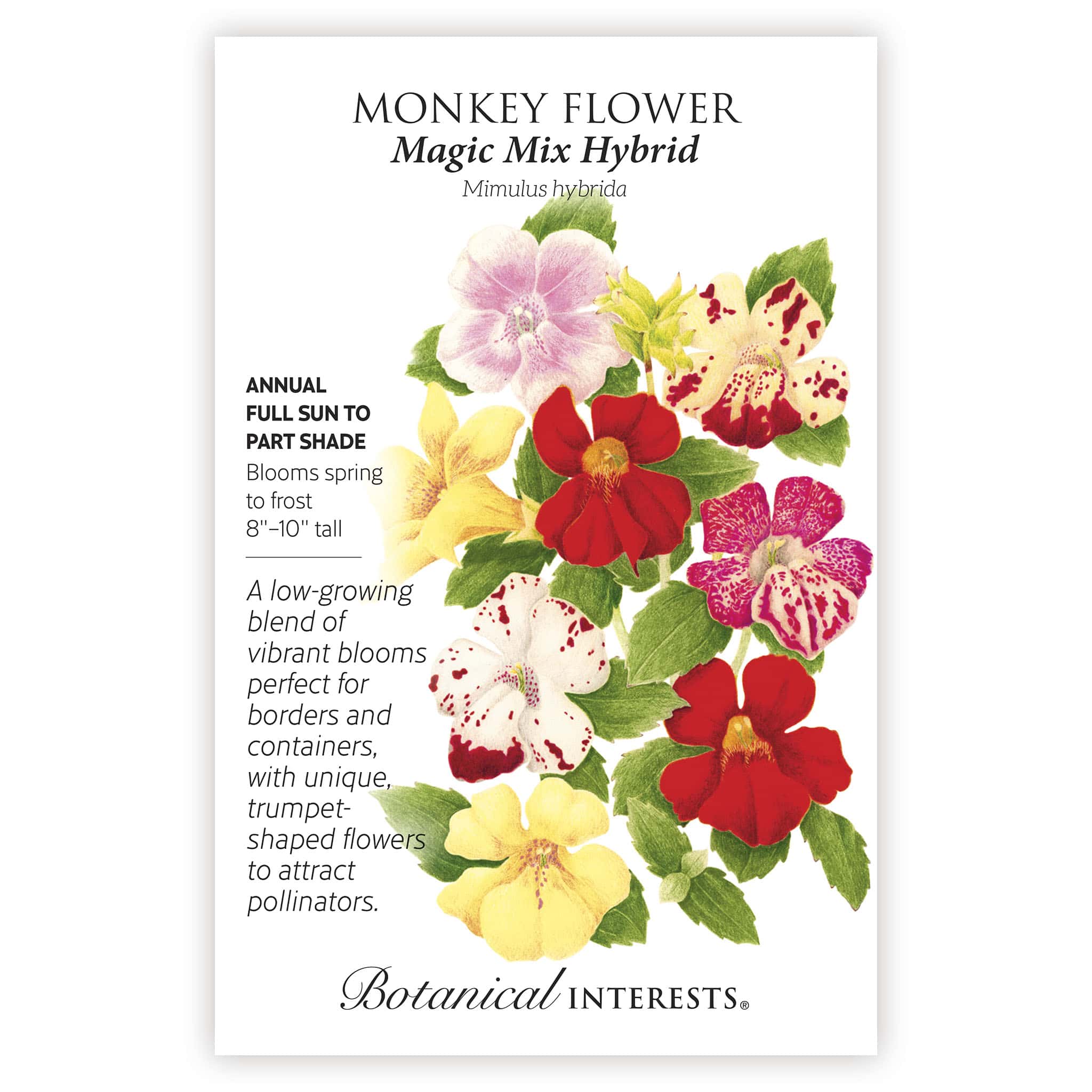Magic Mix Monkey Flower Seeds - Image 3