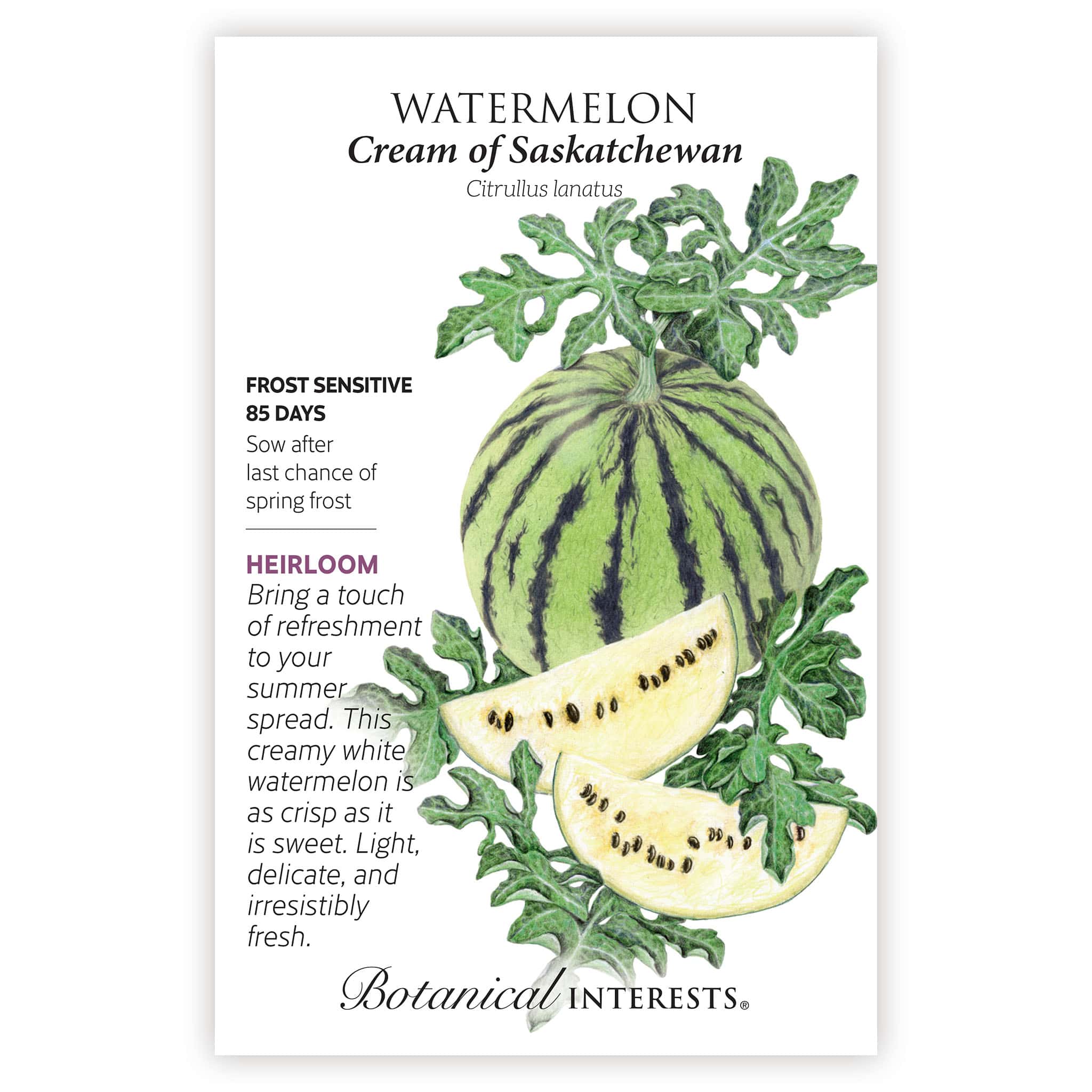 2026 New Varieties Seed Bundle - Image 15
