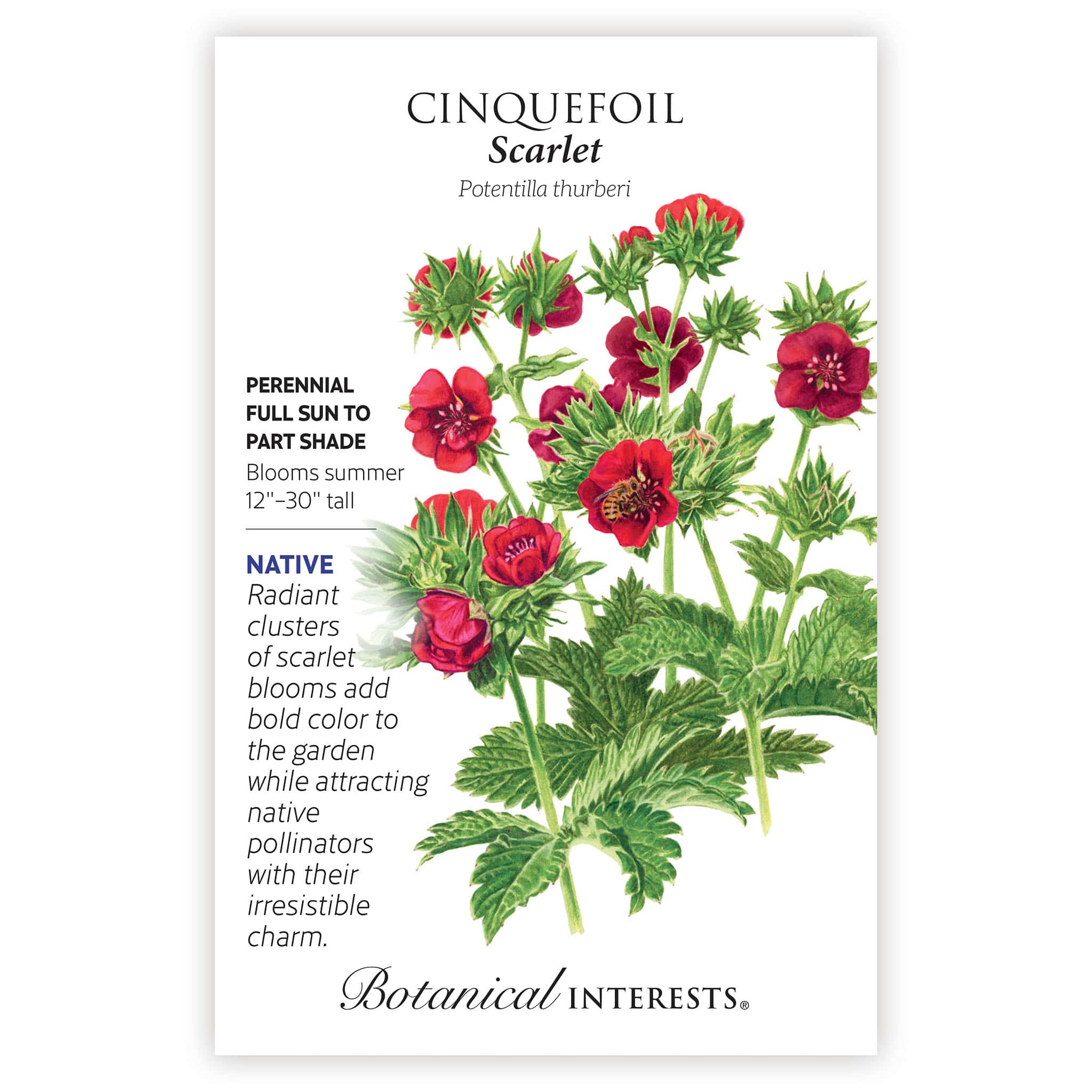 2026 New Varieties Seed Bundle - Image 3