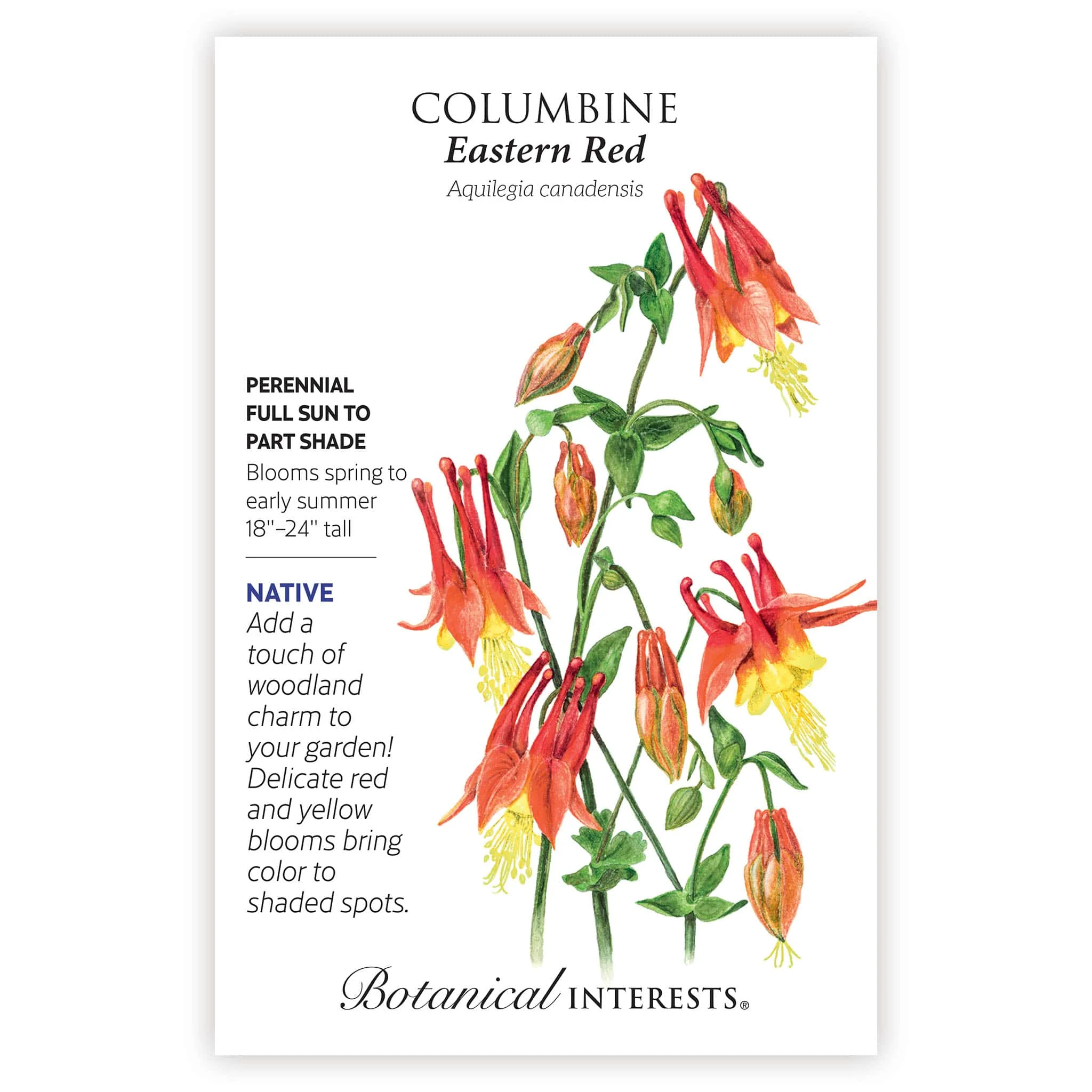 2026 New Varieties Seed Bundle - Image 4