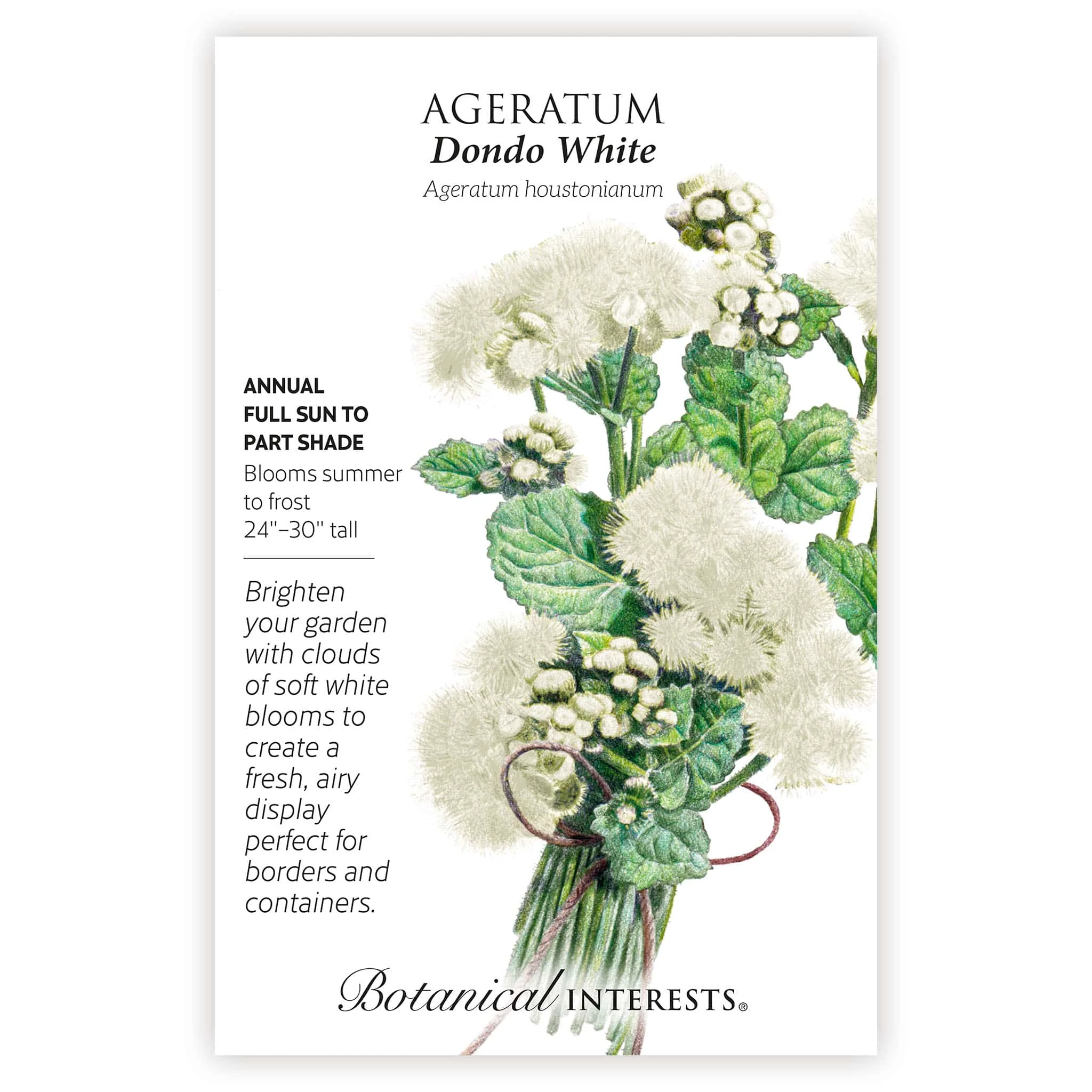 2026 New Varieties Seed Bundle - Image 8