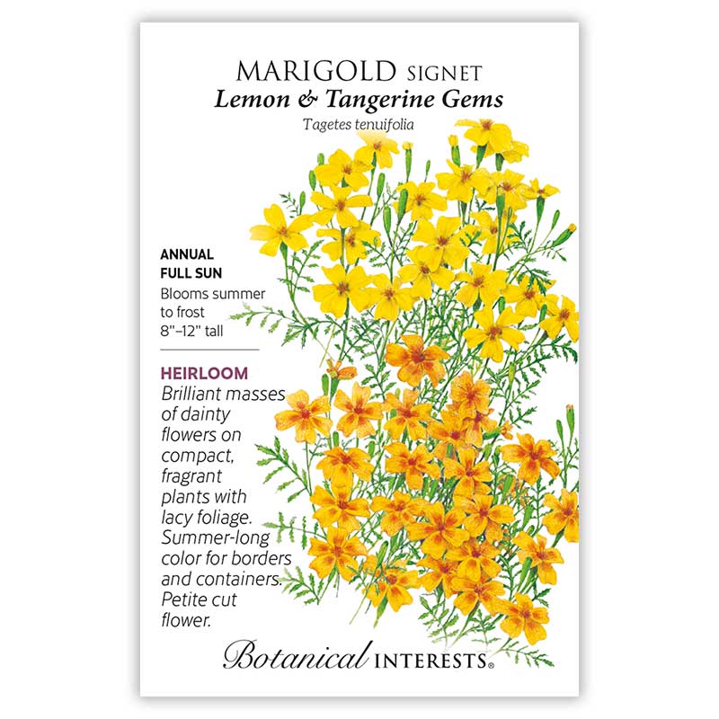 Northeast Seed Bundle - Image 8