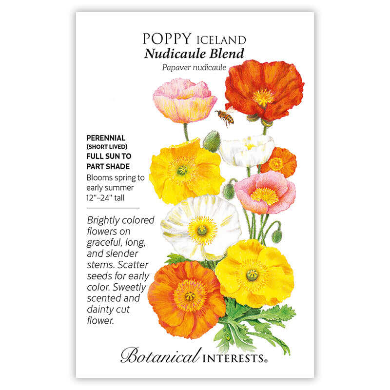 Nudicaule Blend Iceland Poppy Seeds - Image 3