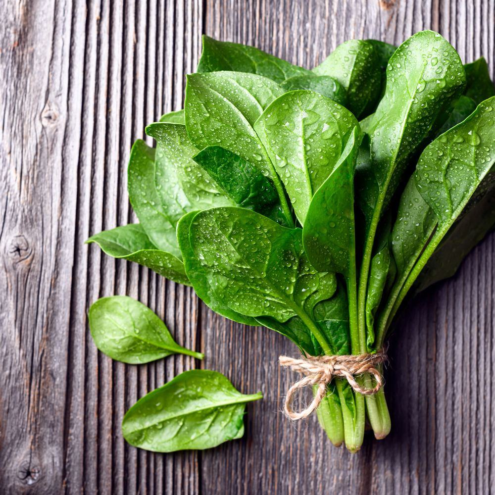 Oceanside Spinach Seeds - Image 4