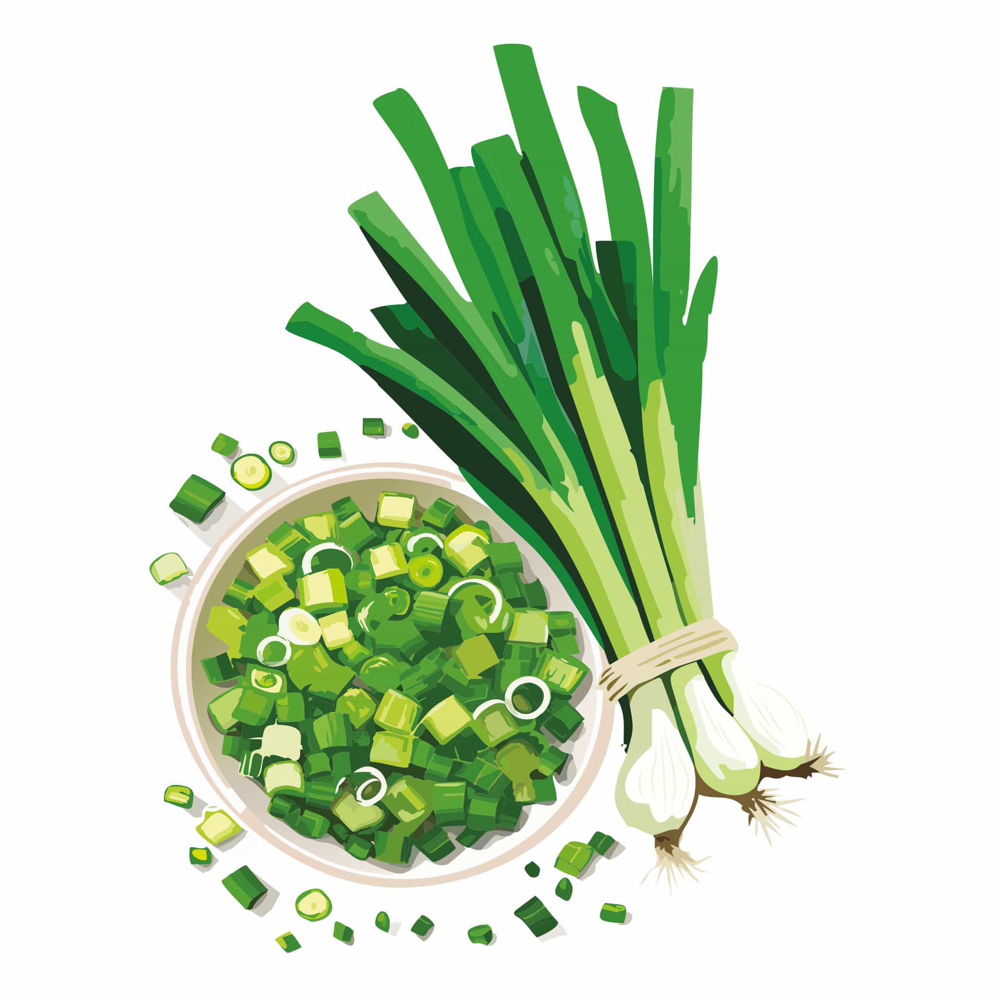 Warrior Bunching Onion