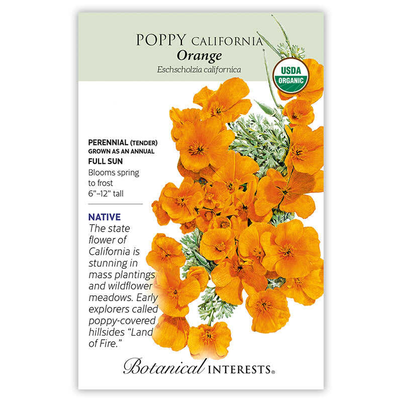Orange California Poppy Seeds - Image 3
