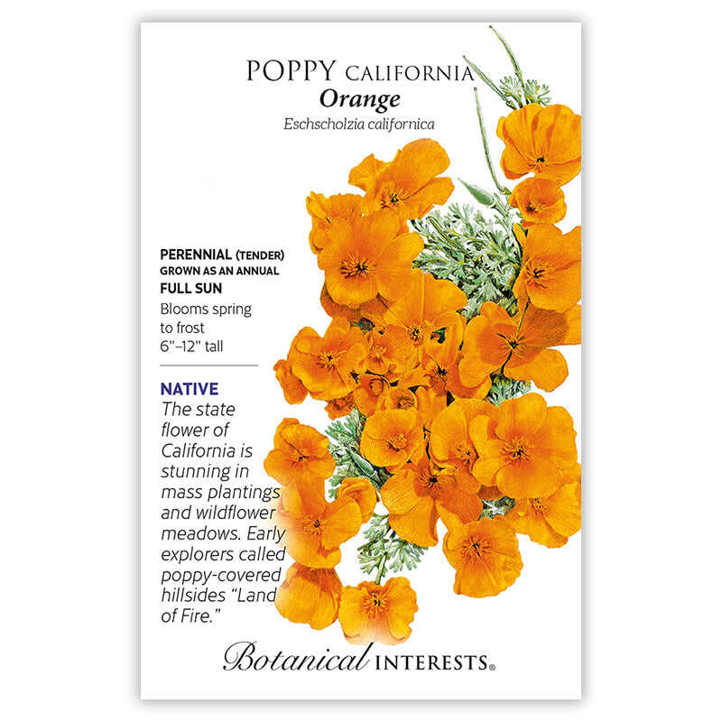 Orange California Poppy Seeds - Image 8