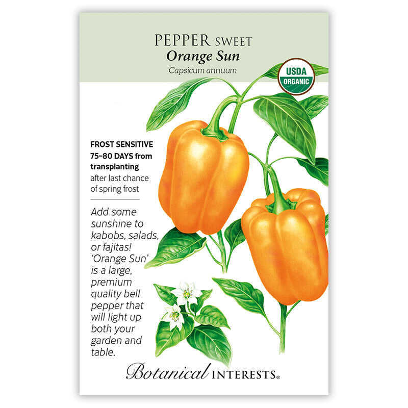 Orange Sun Sweet Pepper Seeds - Image 3