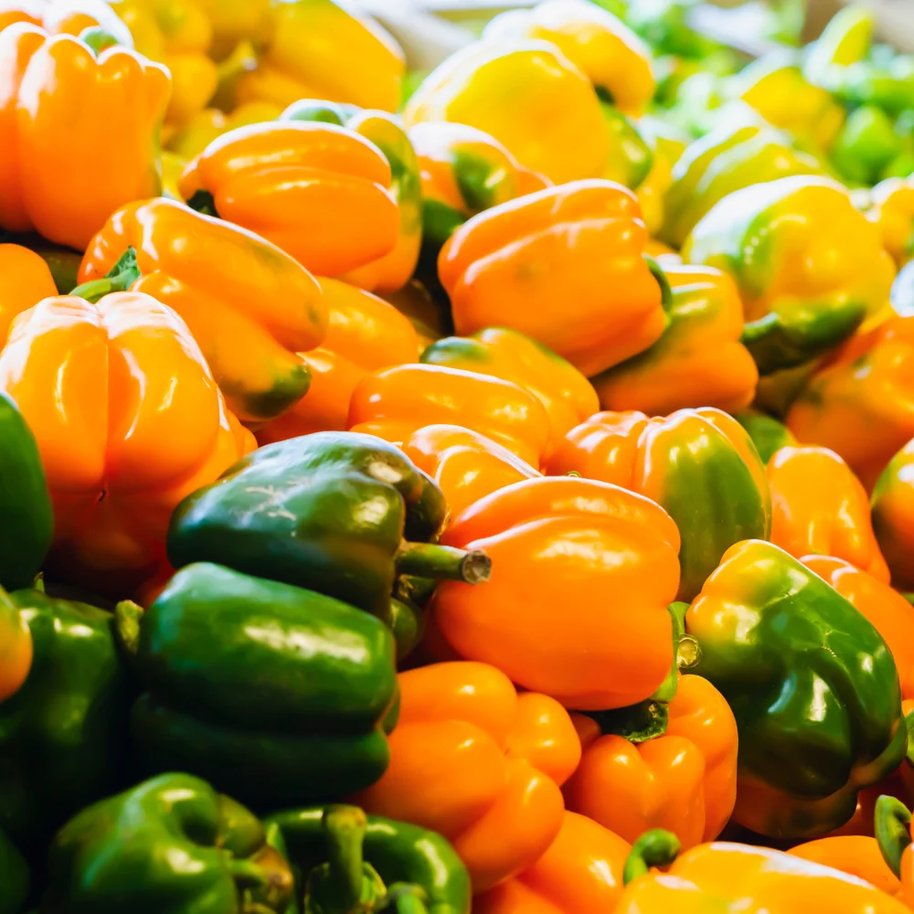 Orange Sun Sweet Pepper Seeds - Image 4