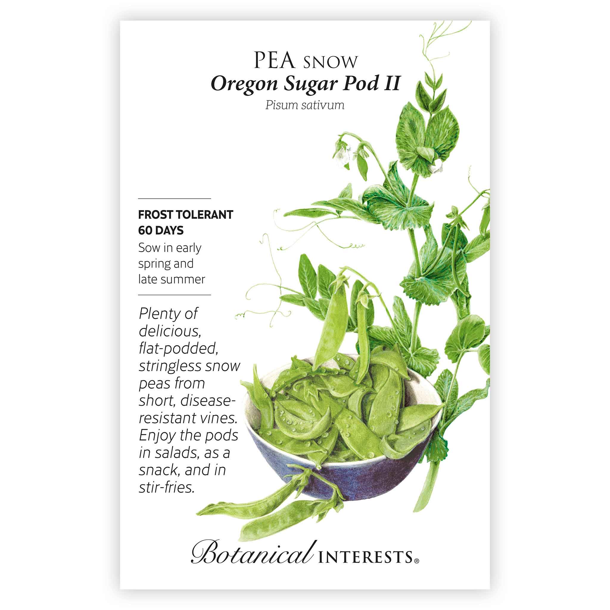 Oregon Sugar Pod II Snow Pea Seeds - Image 3
