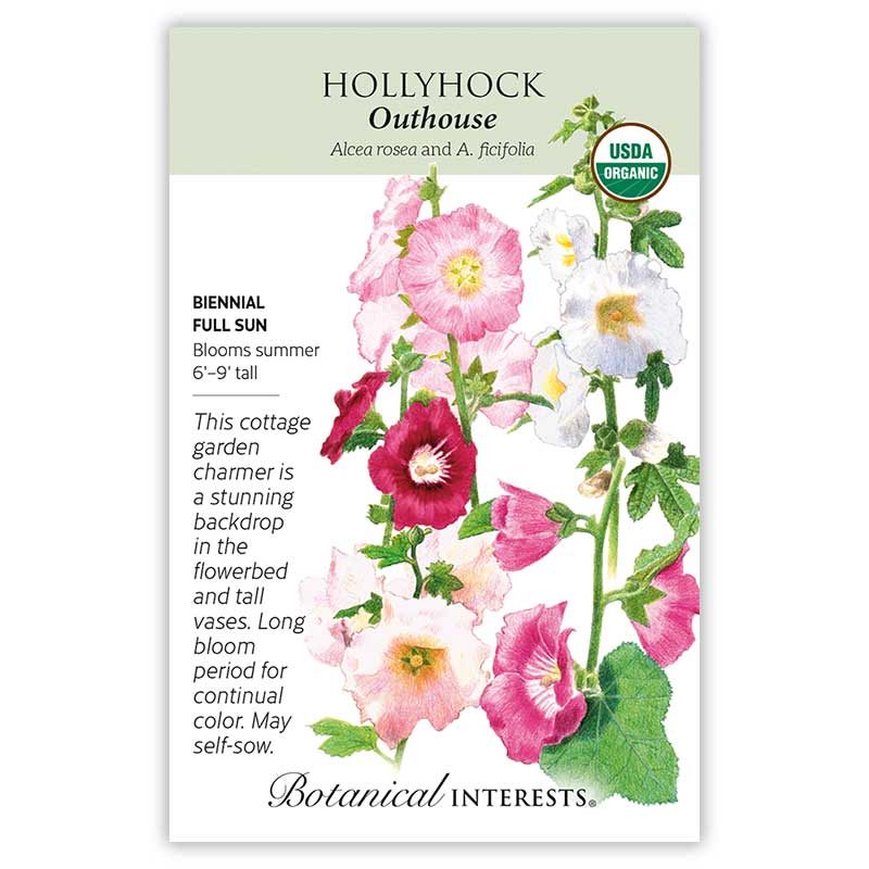 Outhouse Hollyhock Seeds - Image 3