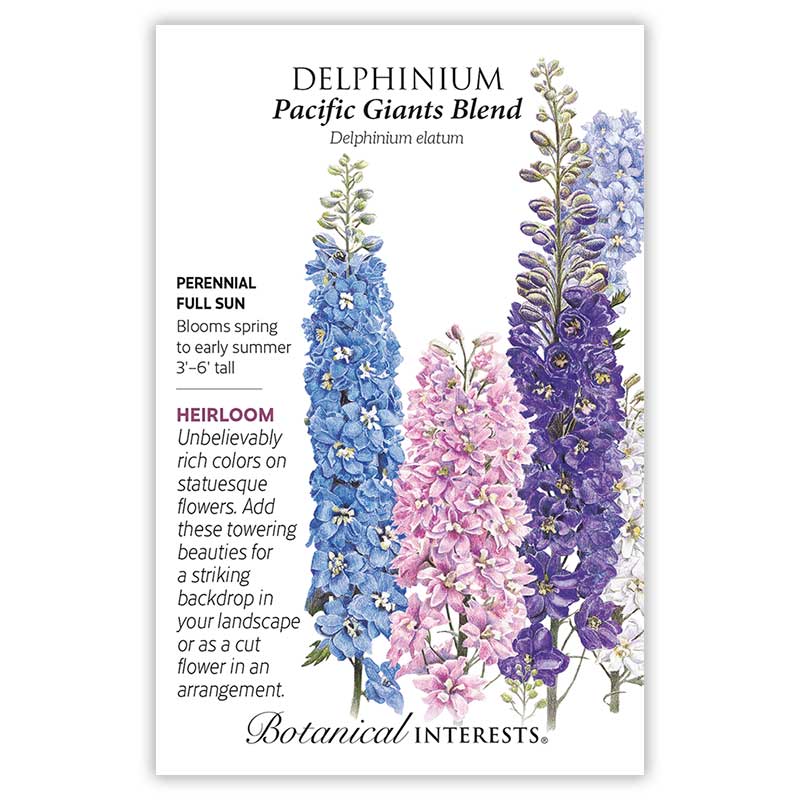 Pacific Giants Blend Delphinium Seeds - Image 3