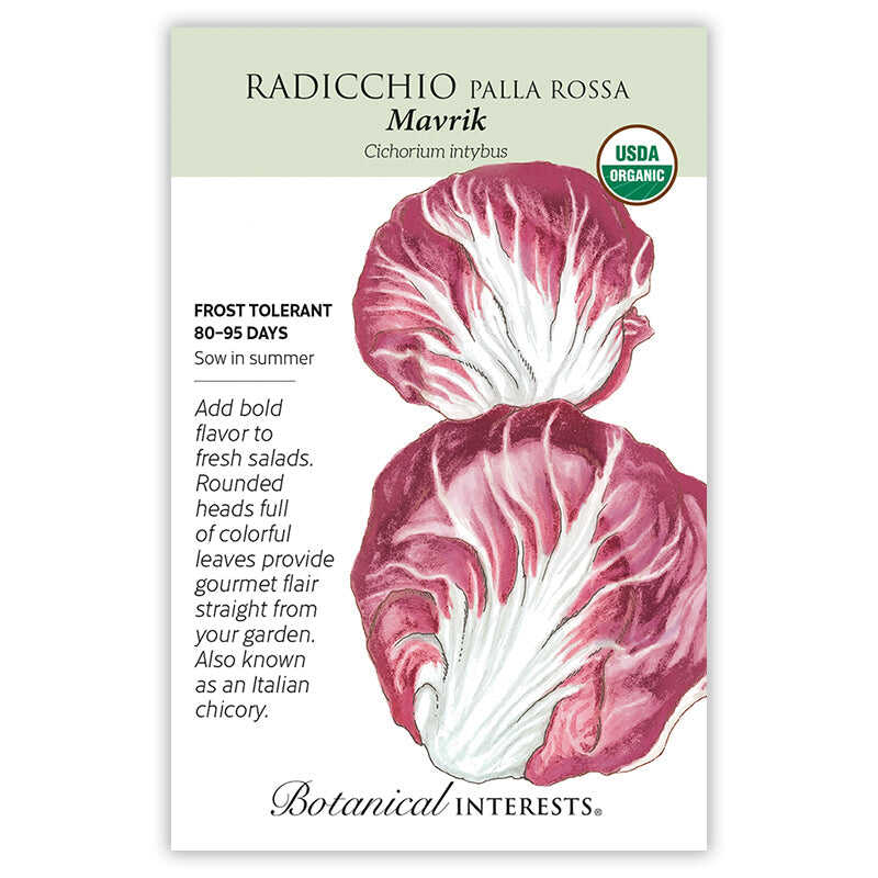 Palla Rossa Mavrik Radicchio Seeds - Image 3