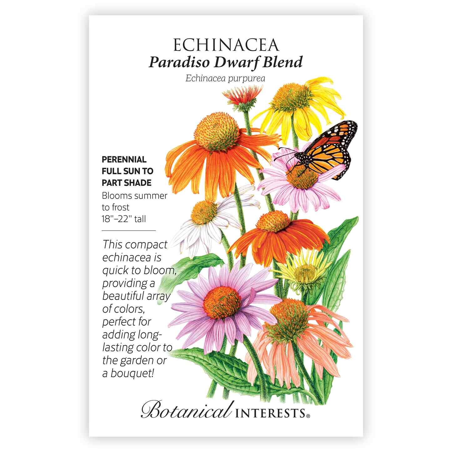 Paradiso Dwarf Blend Echinacea Seeds - Image 3