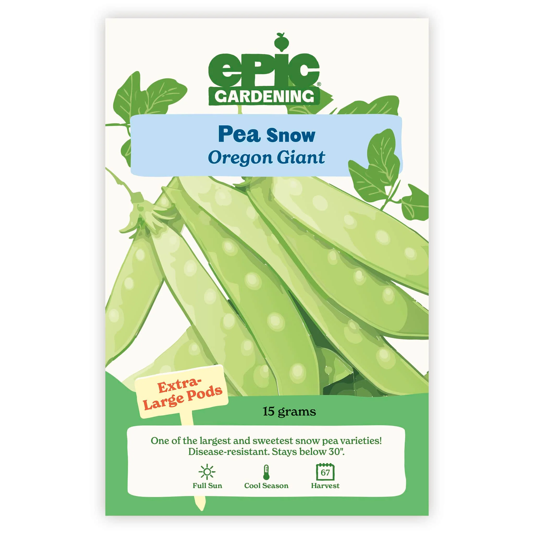 Oregon Giant Snow Pea - Image 2
