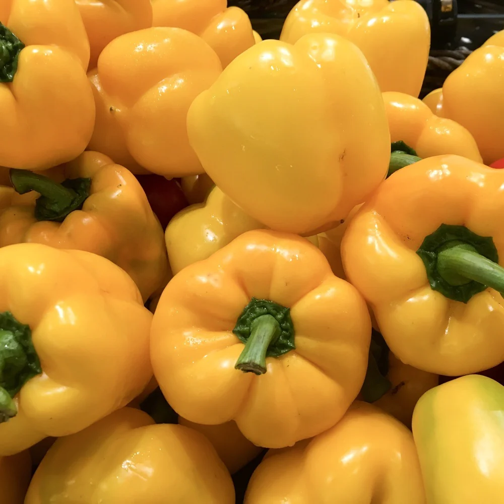 Golden Cal Wonder Sweet Pepper Seeds - Image 4