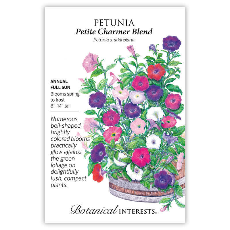 Petite Charmer Blend Petunia Seeds - Image 3