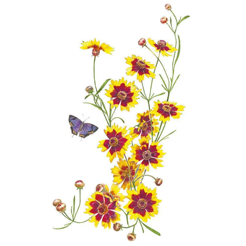 Plains Coreopsis Seeds