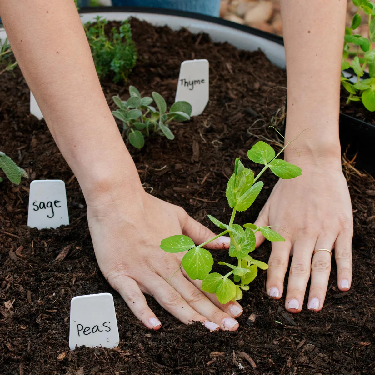 Epic Plant Tags - Image 5