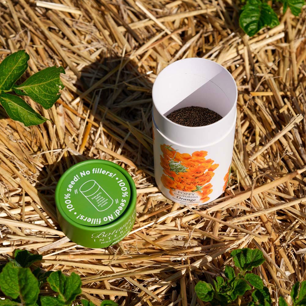 Orange California Poppy Seed Shaker - Image 3