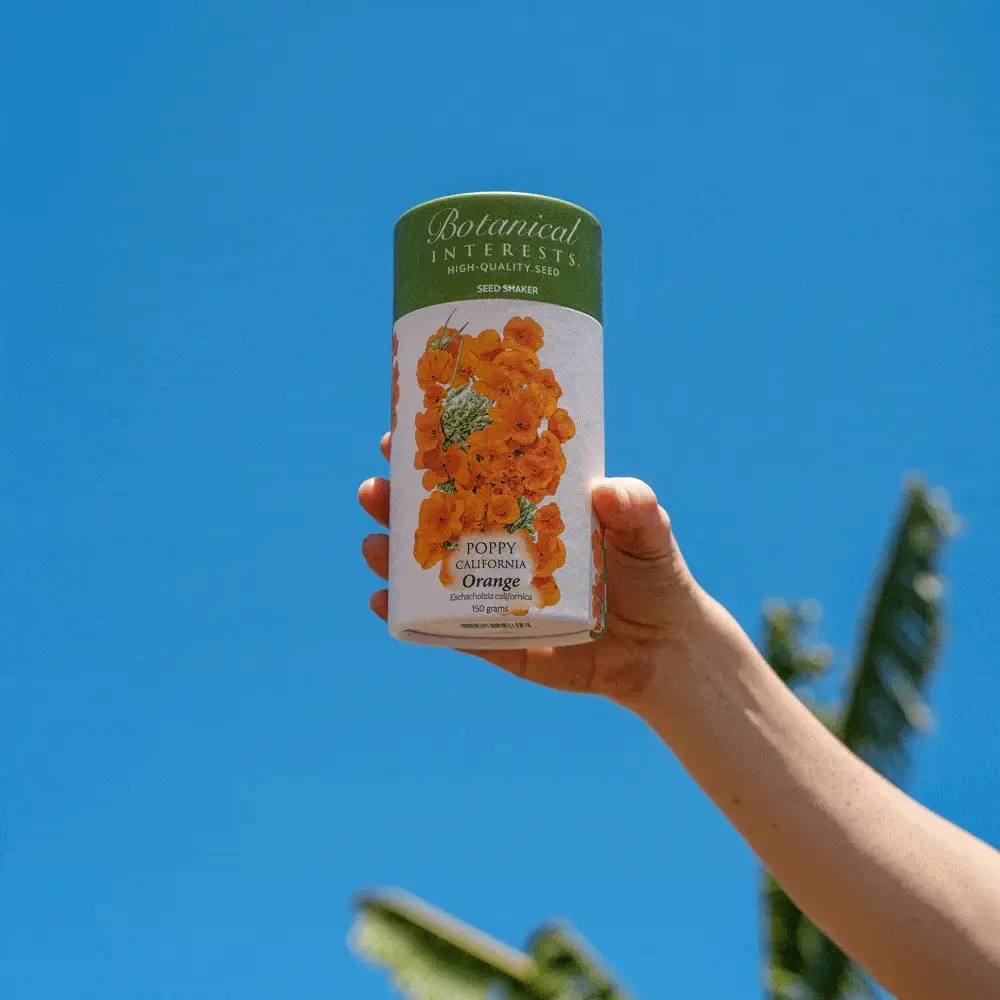 Orange California Poppy Seed Shaker - Image 4
