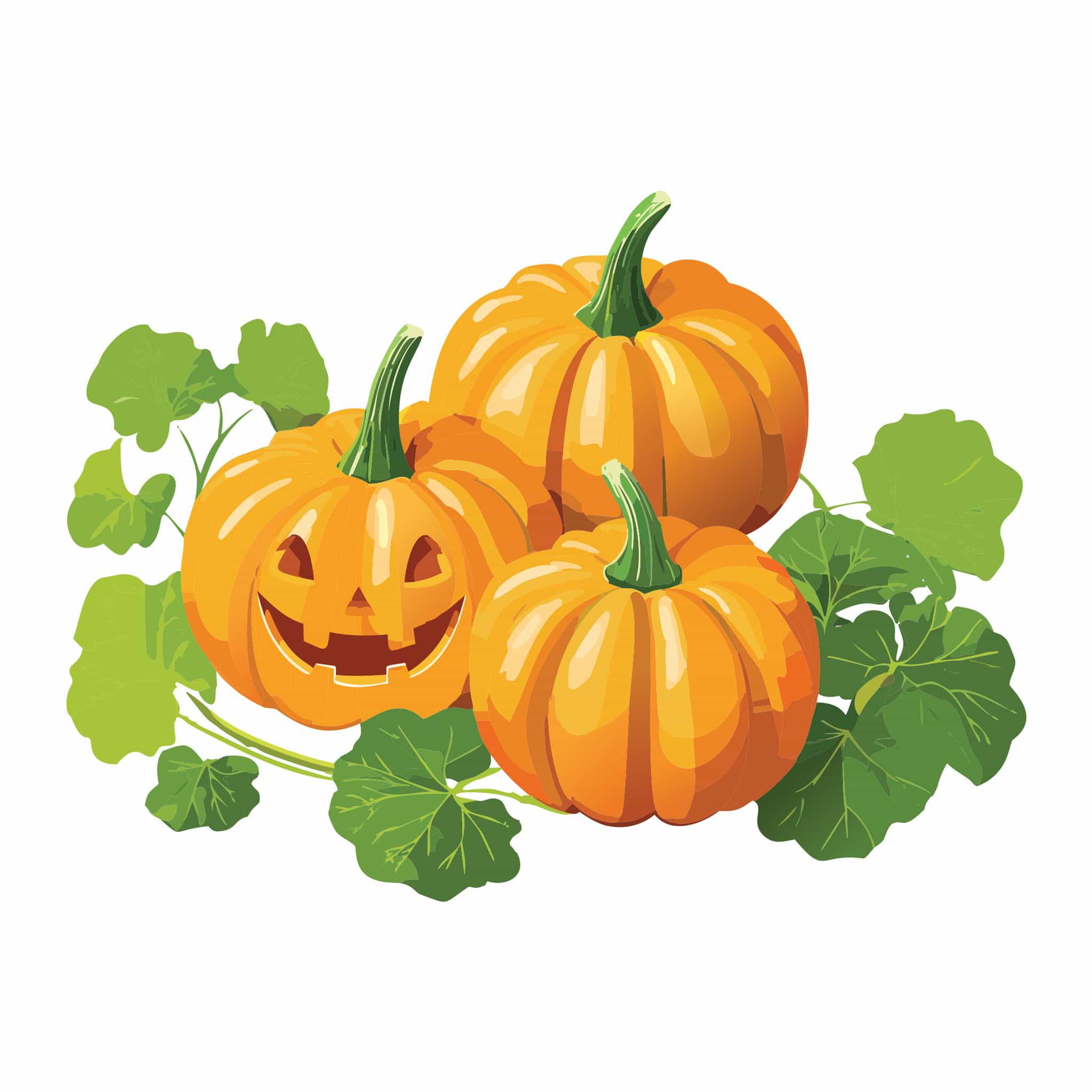Spookie Pumpkin