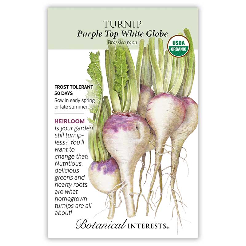 Purple Top White Globe Turnip Seeds - Image 3