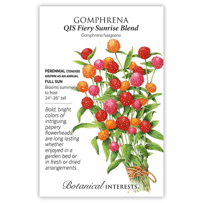 QIS Fiery Sunrise Blend Gomphrena Seeds - Image 3