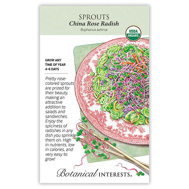 China Rose Radish Sprouts Seeds - Image 3