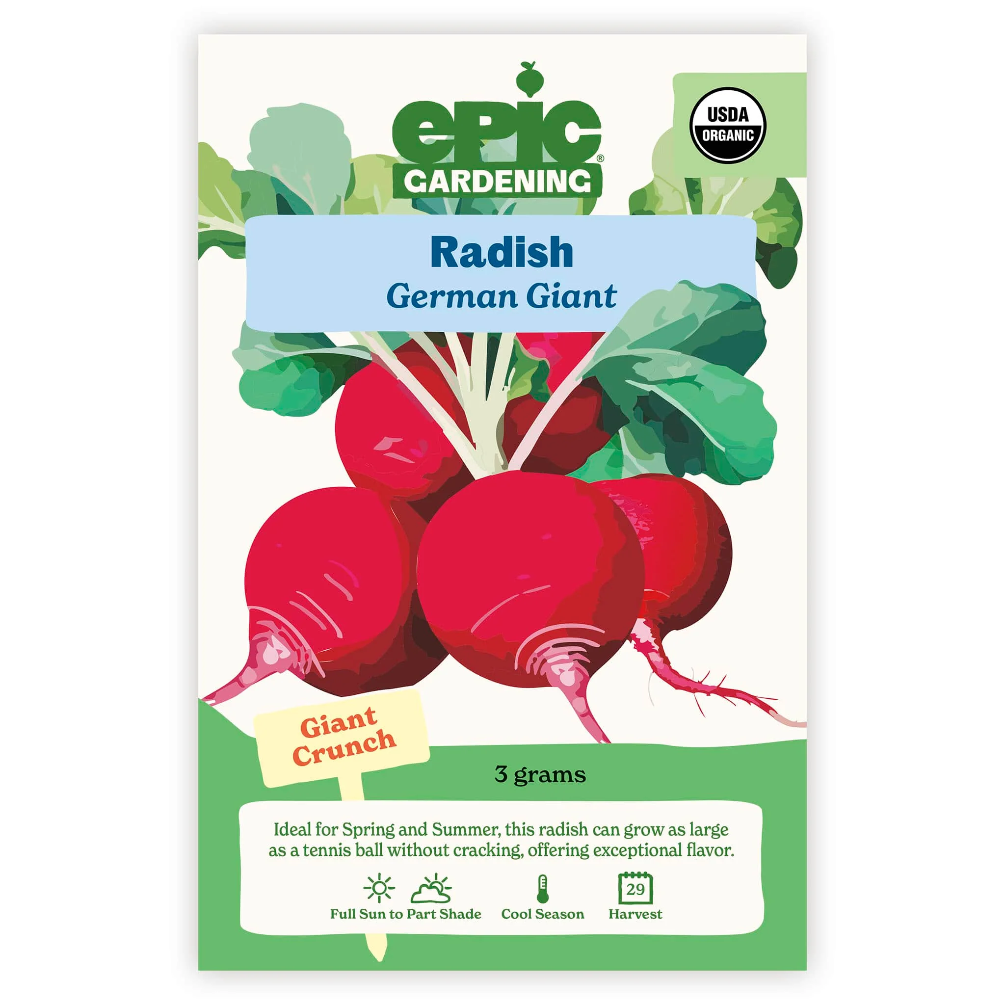 German Giant Radish - Image 2