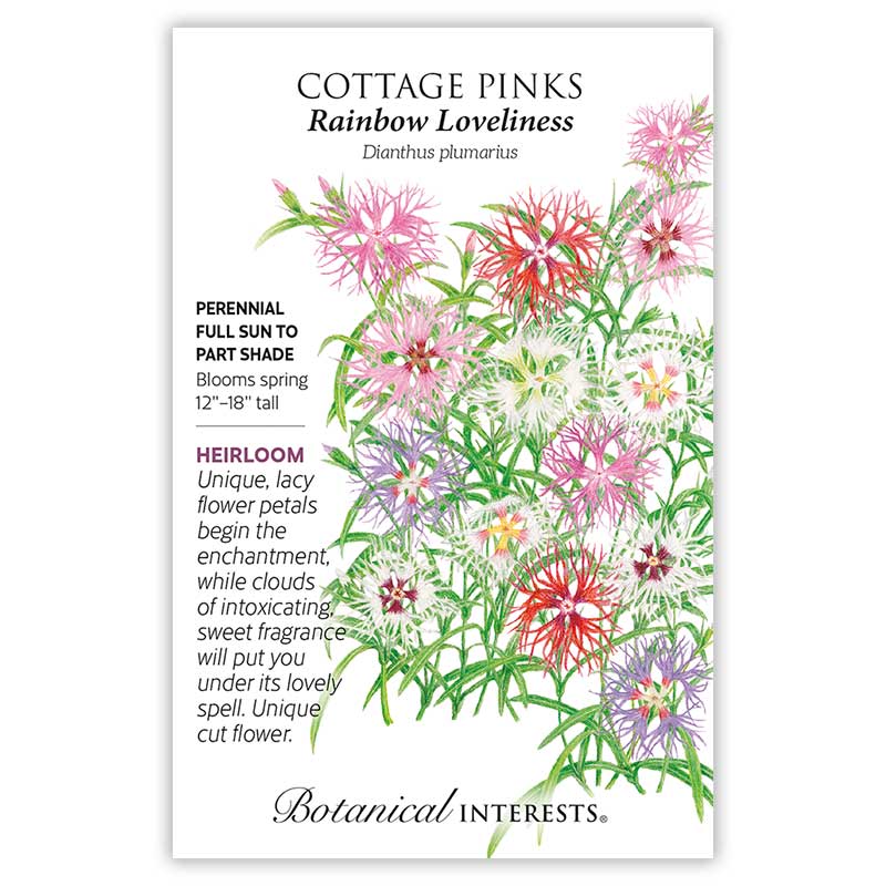 Rainbow Loveliness Cottage Pinks Seeds - Image 3