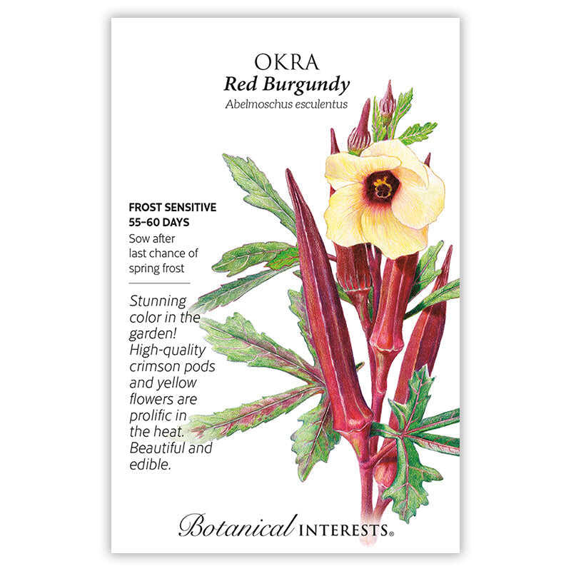 Red Burgundy Okra Seeds - Image 3