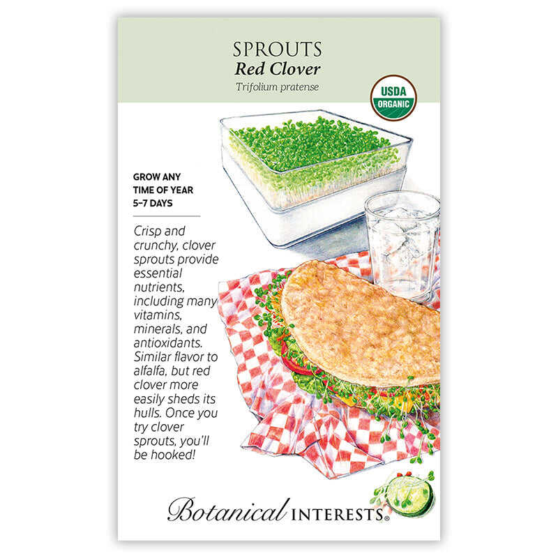 Red Clover Sprouts Seeds - Image 2