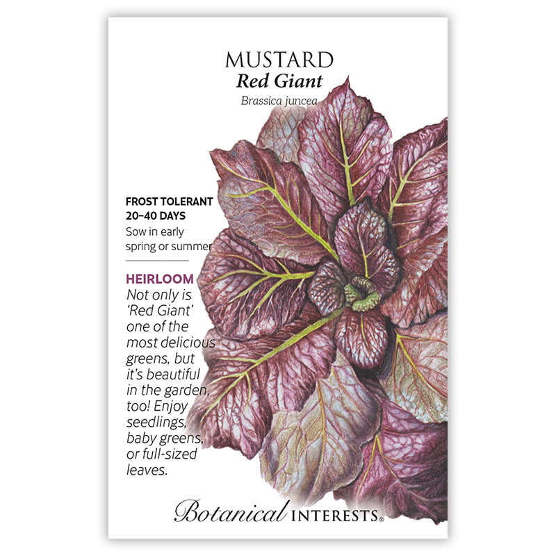 Red Giant Mustard Seeds - Image 3
