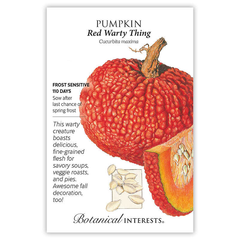 Red Warty Thing Pumpkin Seeds - Image 3
