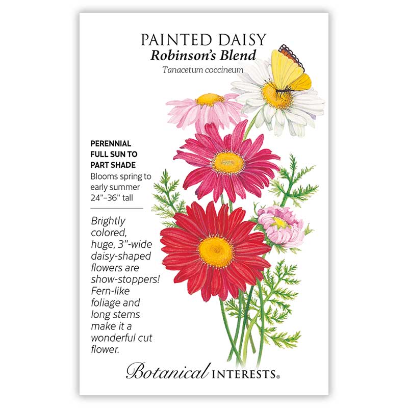 Robinson's  Blend Painted Daisy Seeds - Image 3