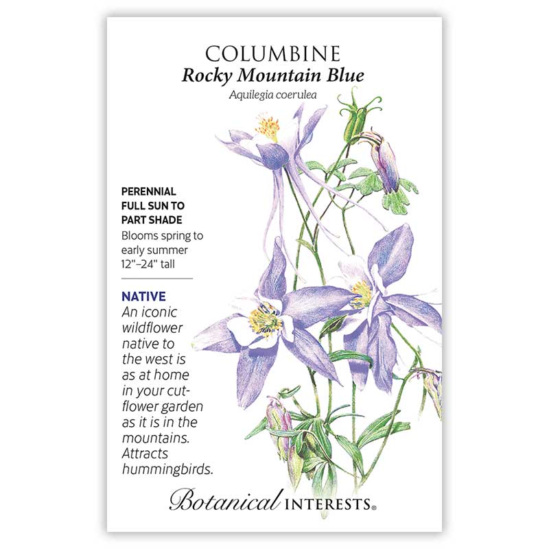 Rocky Mountain Blue Columbine Seeds - Image 3