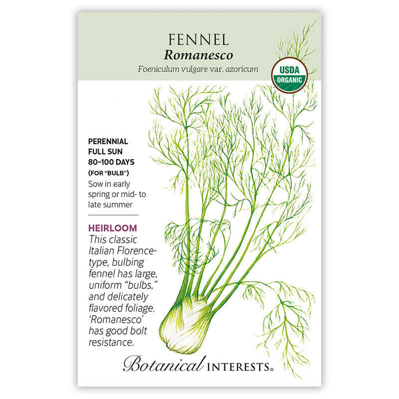 Romanesco Fennel Seeds - Image 3