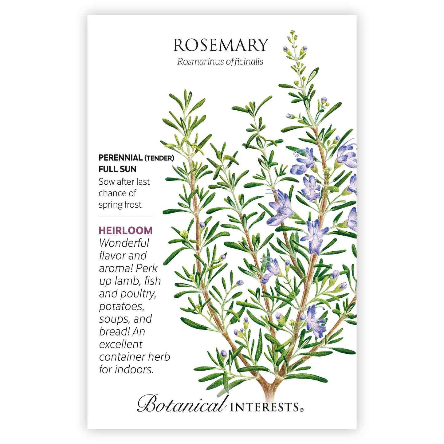 Rosemary Seeds - Image 3