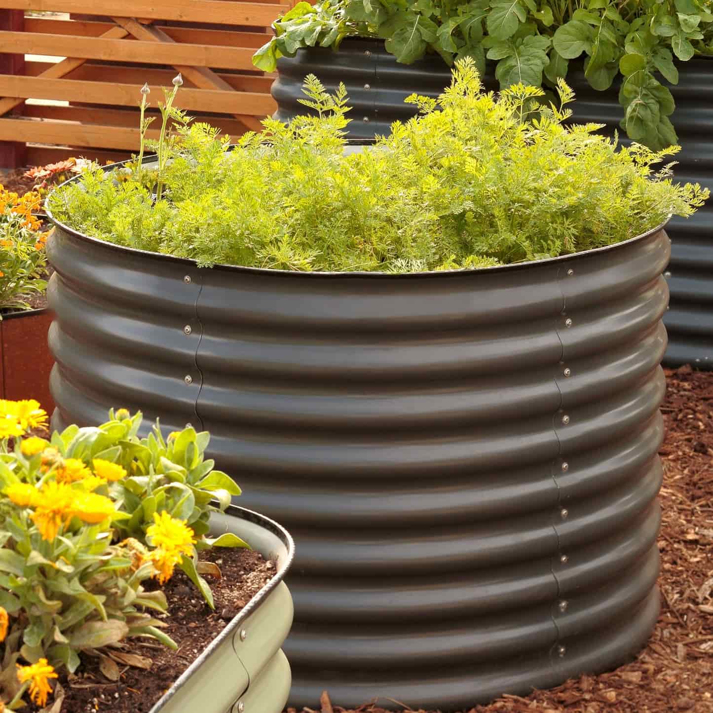 Round Metal Raised Garden Bed Kit - 29” Extra Tall - Image 3