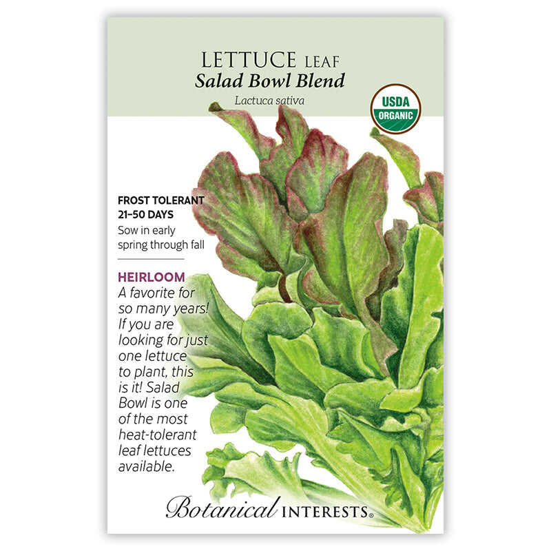 Salad Bowl Blend Leaf Lettuce Seeds - Image 3